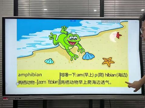 单词314法零基础快速速记忆3500