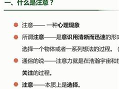 儿童专注力提升训练视频课程（16集）