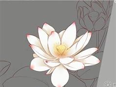 sai绘画新手教学视频在线学习与