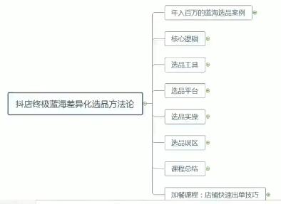 小卒-抖店终极蓝海差异化选品方法论：学习小卒的抖店终极蓝海差异化选品方法论！