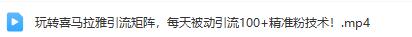 玩转喜马拉雅引流矩阵：每天被动引流100+精准粉丝的技术分享！