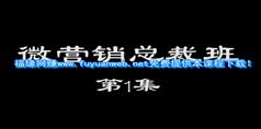 微营销实战总裁班视频教程-张辉