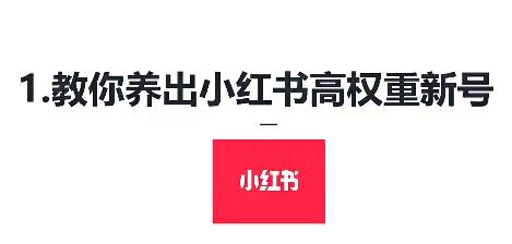 小红书运营引流全系列课程，每天引流100精准粉