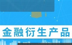 《衍生品》课程教学视频全集（47集