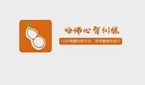 哈佛学霸教你如何放下杂念、消除坏情绪，15天翻倍提高效率的大脑开窍术