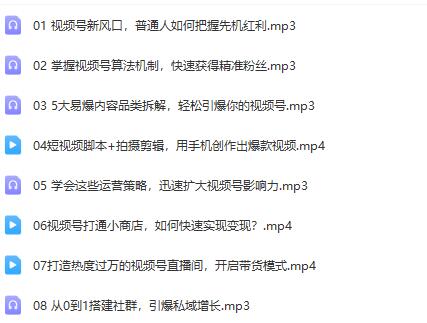 张萌21天视频号实战训练营：掌握裂变涨粉、内容创作和视频号变现！