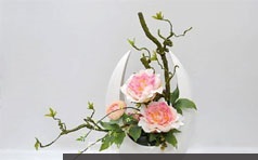 [花艺知识提升]花才鲜花的认识与