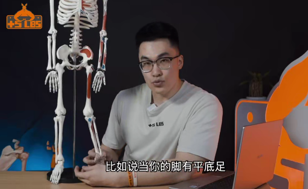 做自己的康复师：骨盆、脊柱系统教