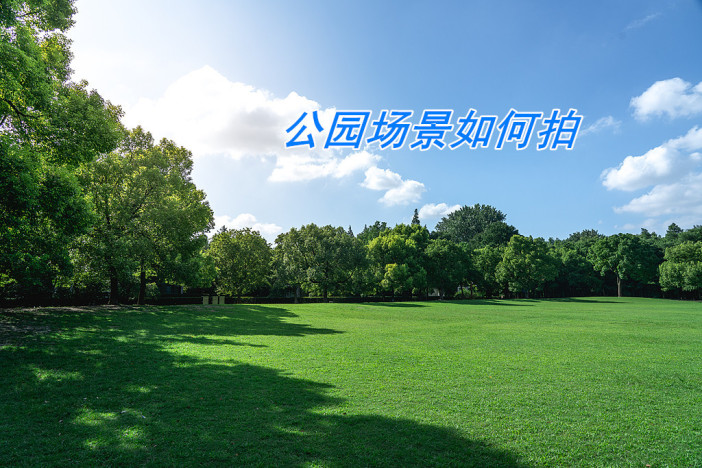 拍摄小技巧：公园场景如何拍