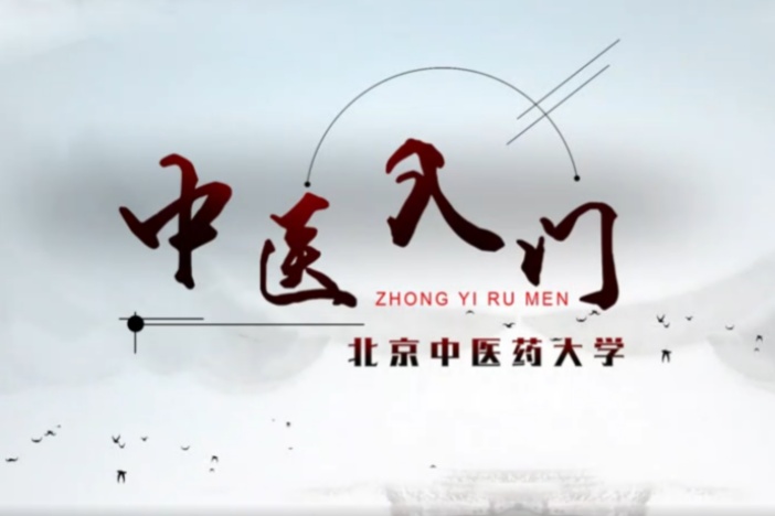 中医入门
