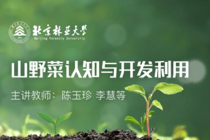 山野菜认知与开发利用