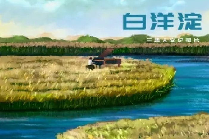 纪录片《白洋淀》