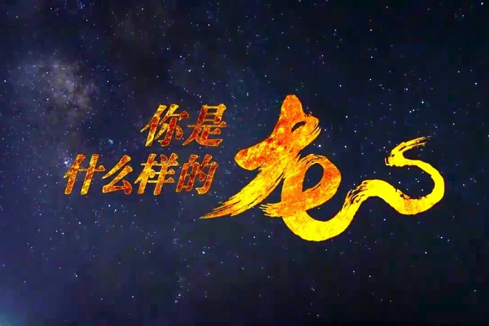 你是什么样的龙