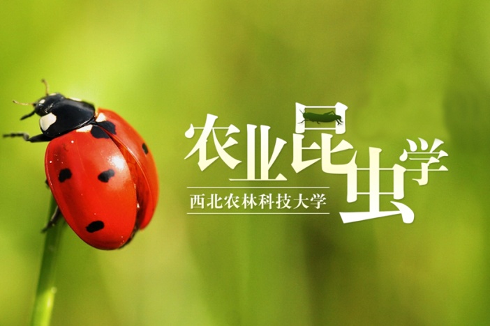 农业昆虫学