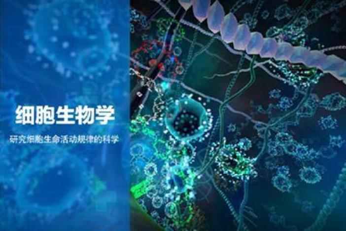 细胞生物学：细胞社会的奥秘