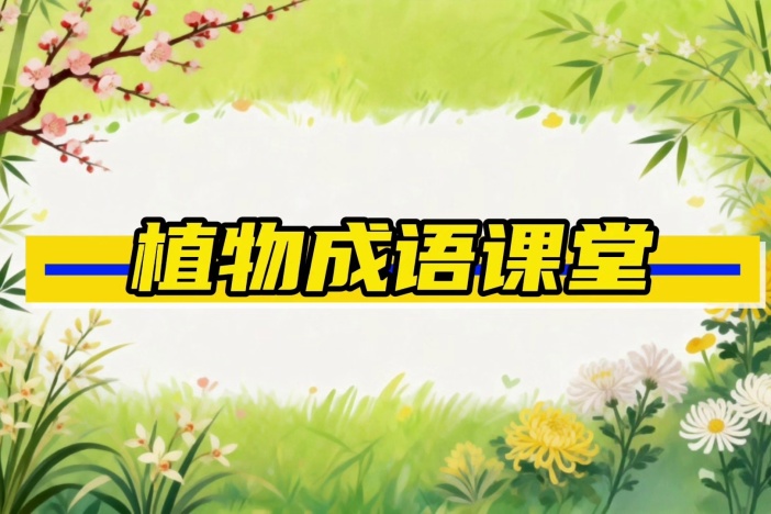植物成语课堂