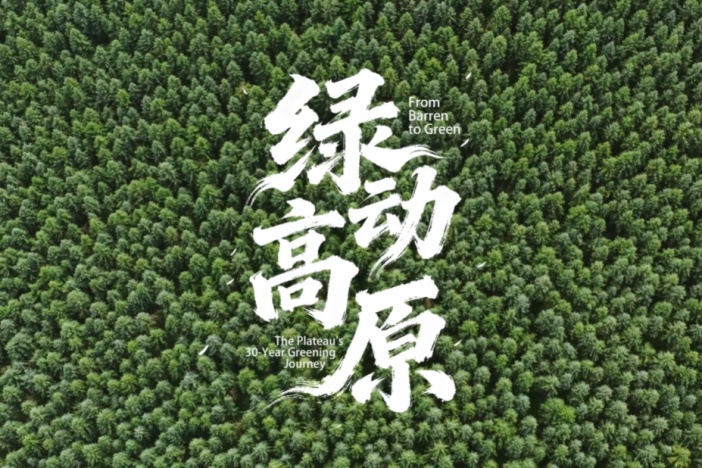 绿动高原