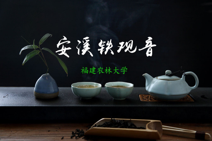 安溪铁观音