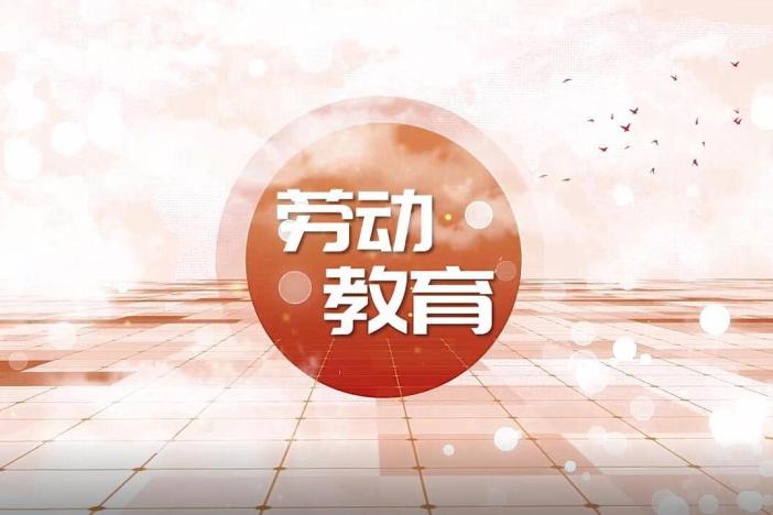 劳动教育