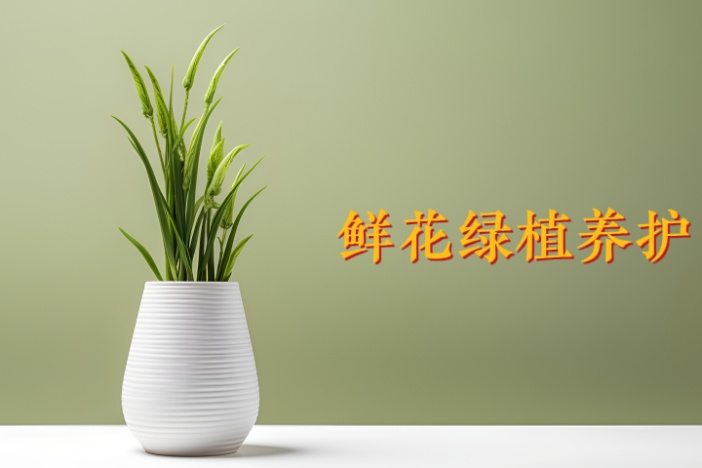 鲜花绿植养护知识（一）