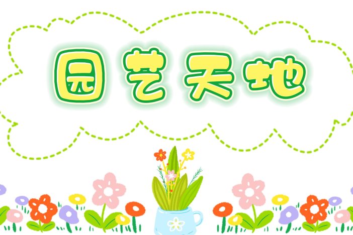 园艺天地：月季花养护小技巧