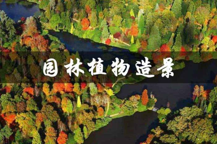 园林植物造景
