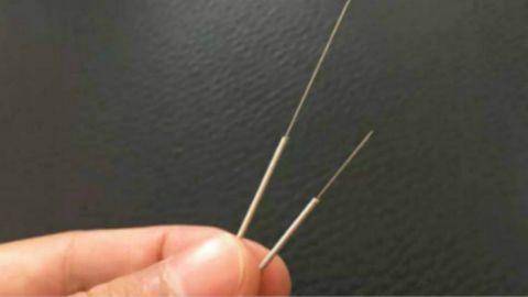 中医药学的真谛——针灸学