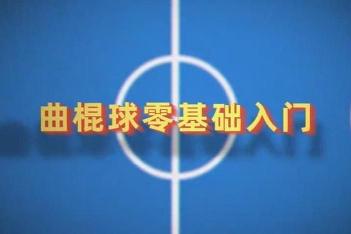 曲棍球零基础入门