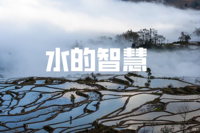 水的智慧（精选）