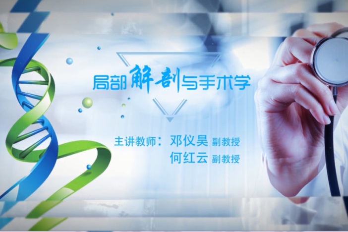 局部解剖与手术学
