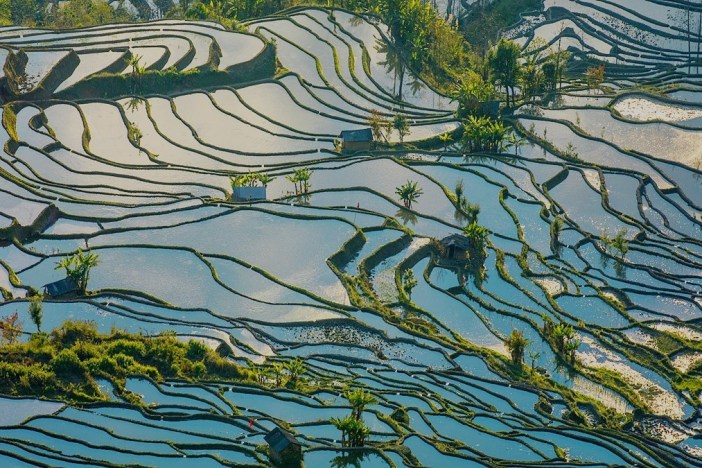 中国的农业文化遗产