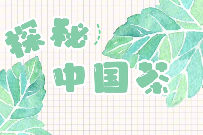 探秘中国茶：红茶的冲泡