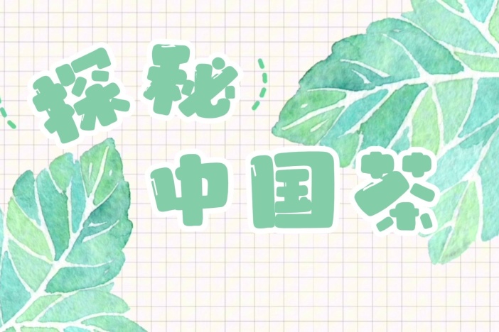 探秘中国茶：花茶的冲泡