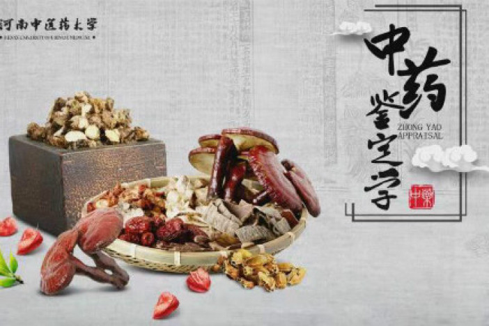 中药鉴定学
