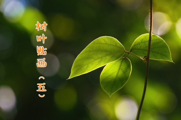 树叶贴画（五）