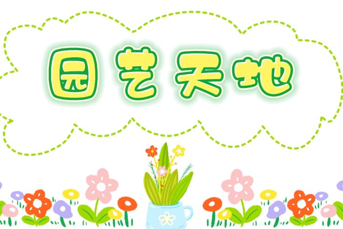 园艺天地：长春花养护小技巧