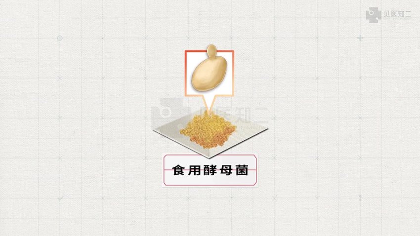 2025高考生物基因工程+跨膜运输+