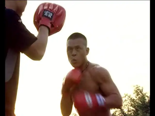 中国武术精华：咏春拳+格斗+擒拿实