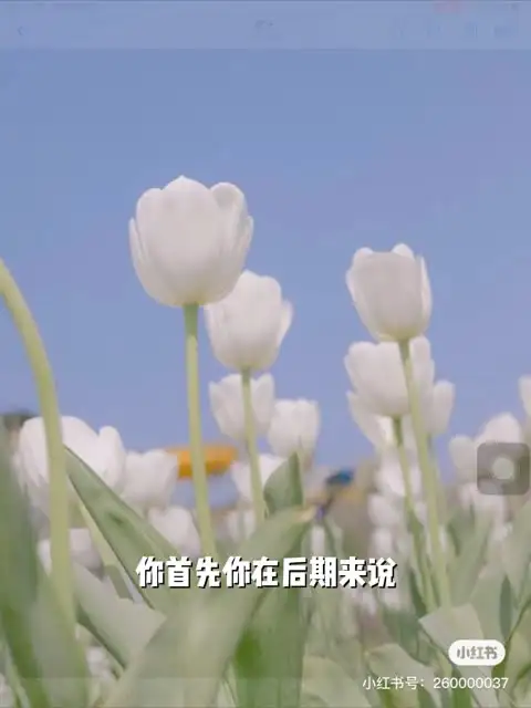 伍伍老师摄影教程：从基础到高级全