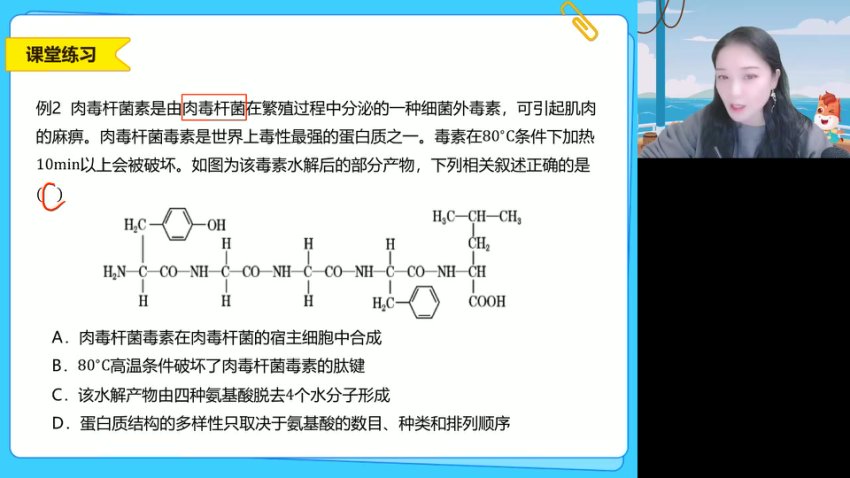 2025高一生物必修一系统精讲班：细