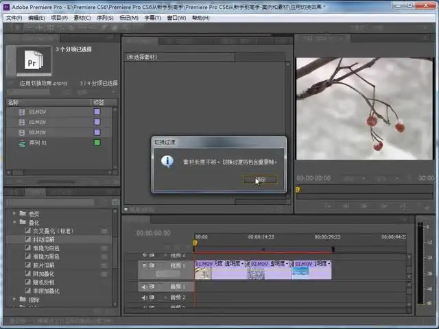 Premiere Pro CS6中文版教程：零基