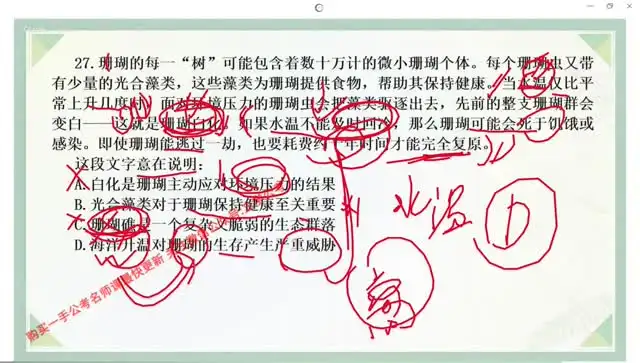 2024大懒猫言语强化课二期：高效提