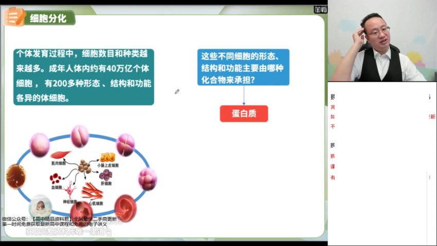 2024徐京高一生物必修一系统课：30