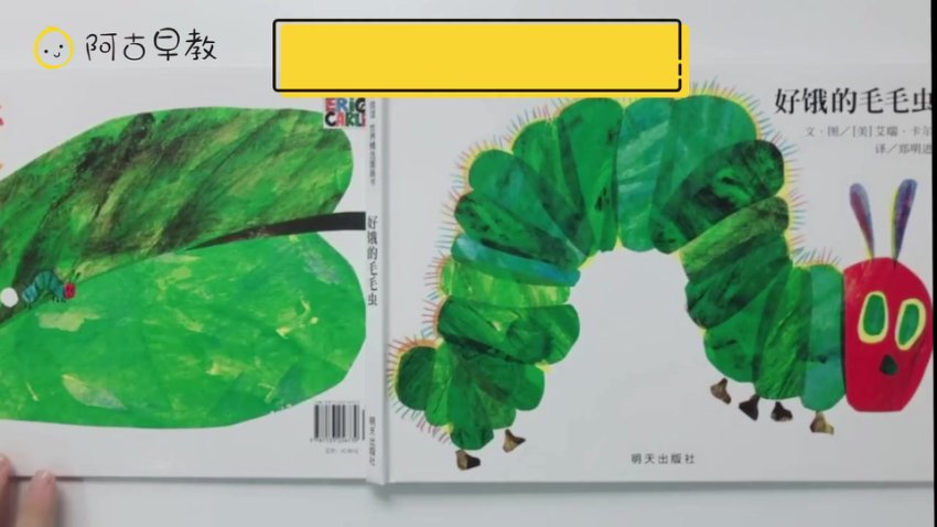 阿古早教：明星老师精讲《好饿的毛